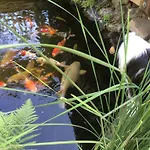Wellness- Und Gartenhotel Heusser Szálloda