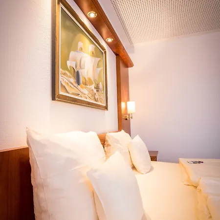 Wellness- Und Gartenhotel Heusser 巴特迪克海姆