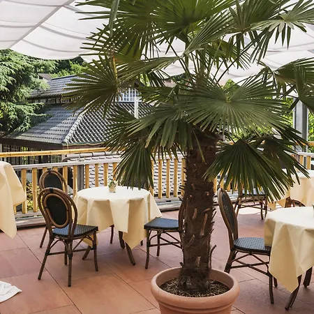 Wellness- Und Gartenhotel Heusser Bad Dürkheim
