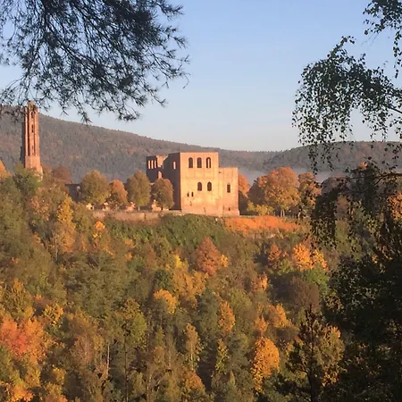 Wellness- Und Gartenhotel Heusser 4* Bad Dürkheim