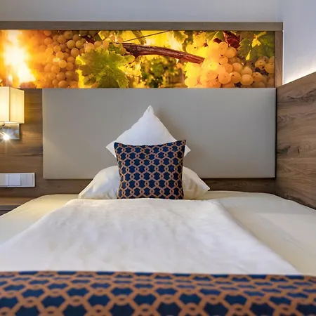 Wellness- Und Gartenhotel Heusser 4* Bad Dürkheim