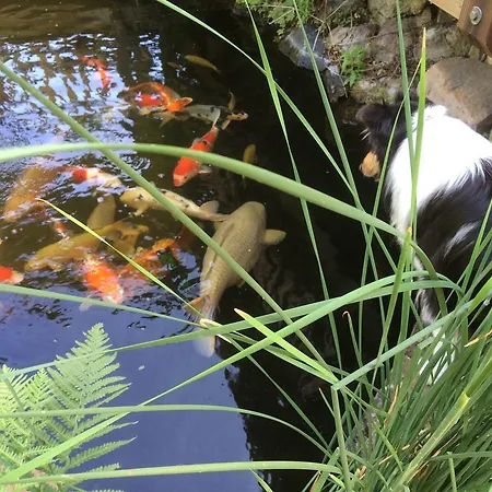 Wellness- Und Gartenhotel Heusser Hotel