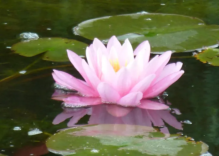 호텔 Wellness- Und Gartenhotel Heusser