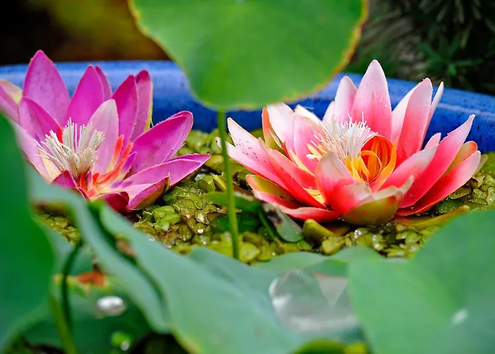 호텔 Wellness- Und Gartenhotel Heusser 4*