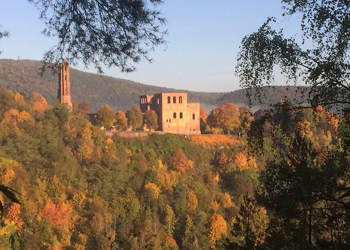 Wellness- Und Gartenhotel Heusser 4* 바트두르크하임