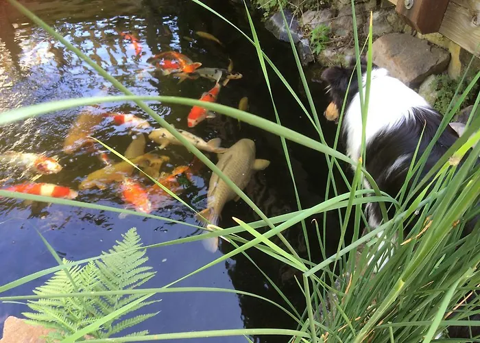 Wellness- Und Gartenhotel Heusser 호텔