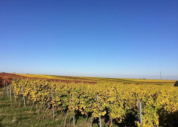 Gartenhotel Heusser Hotel